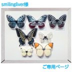 作品smilingliver様ご専用ページ