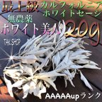 作品✴︎最上級✴︎カルフォルニアホワイトセージ 20g 箱に入れて発送します。シリカゲル入り✴︎