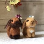 作品羊毛フェルト　うさちゃんず🐰ホーランドロップイヤー　トート　鼻黒ちゃん　耳飾りつき　手のひらサイズ　ミニチュア　　　