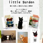 作品little gardenについて