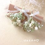 作品♡新作♡グリーンナチュラルのminiイヤリング/ピアス 春