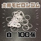 作品モビロンゴム　100個　ペット用犬用　10020