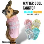 作品中型犬・大型犬服　冷感 タンクトップ　保冷剤　 cool ひんやり　ネームプリント　ウォータークール