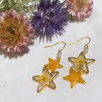 作品星×花ピアス🌼✨