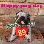 作品Happy pug day ほっかむりパグ 89