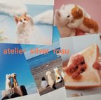 作品羊毛フェルト犬猫のポストカードセット