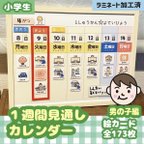 作品1週間スケジュール　視覚支援　小学校　小学生　療育編　絵カード【男の子】☆送料無料☆