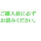 作品ご購入前に必ずギャラリーについてをお読みください