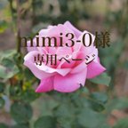 作品mimi3-0様専用☆和装用髪飾りセット