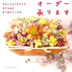 作品【オーダー】  
そのまま飾れる多肉植物 寄せ植え かご(土、鉢込み)    