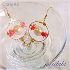 作品珊瑚＆ゴールドシェルマリンピアス/Coral #2 /コットンパール