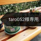 作品taro052様専用🌸多肉植物寄せ植え・丸鉢🌸4点セット