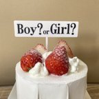 作品ケーキトッパー ジェンダーリビール ケーキ 【 boy? or girl? 】