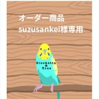 作品suzusankei様専用