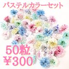 作品かすみ草ドライフラワー50粒セット(パステルカラーmix)