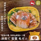 作品(a009-02)北海道産 浜茹で毛蟹(堅蟹) 約500g 1尾🦀【全国送料無料】