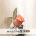 作品sabakizicat様専用💐