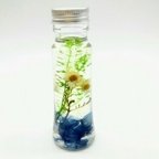 作品Herbarium ペティーコート＆アンモビューム ミニボトル