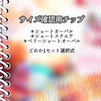 作品《特典つき》サイズ確認用チップ