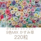 作品★220粒★9色MIX かすみ草