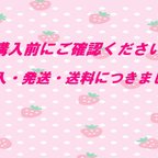 作品☆購入前にご確認ください☆購入・発送・送料につきまして☆