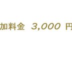 作品オーダー追加料金 3,000 円