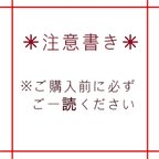 作品注意書き✳︎ご購入前に必ずご一読お願いします