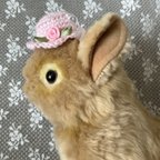 作品ウサギの帽子