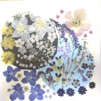 作品【ワンコイン/押花】押し花カラフルセット 花かんざし