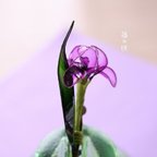 作品アヤメ あやめ 菖蒲 ブローチ Iris ～紫の便り～ ミニチュア ディップアート ワイヤーアクセサリー 成人式