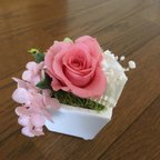 作品【ブリザーブドフラワー】キュートな薔薇     送料無料