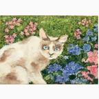 作品展示／愛猫