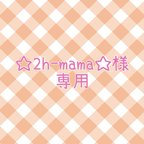 作品☆2h-mama☆様専用  ランチセット 3セット