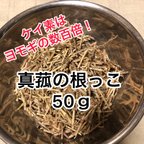 作品ケイ素たっぷり　真菰の根っこドライ50g 真菰風呂　真菰蒸しに