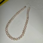 作品わんちゃん、猫ちゃん用の高品質真珠のネックレス