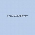 作品mii05230様専用