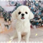 作品◆こちらはサンプル画像になります◆羊毛フェルト♡ 愛犬 オーダー マスコット マルチーズ