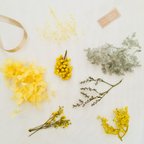 作品再販★ ハーバリウム花材キット yellow&gray