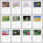 作品季節の花の写真のポケットカレンダー 2024年度版（送料無料）