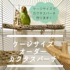 作品【オーダー作成】ケージサイズでカクタスパーチ（サボテンの骨）鳥とまり木・止まり木