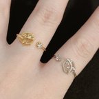 作品ヘキサゴントカゲリング💍*。