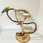 作品【展示用】自然木（ツタ）のぐるぐるバードアスレチック 