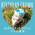 作品【あずもなチョコきなたんママ様専用】ハリネズミ お誕生日 王冠 帽子 クラウン Birthday crown👑×1点