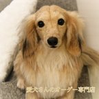 作品【うちの子オーダー】リアル　愛犬さんのオーダー　羊毛フェルト　オーダー　犬　置物　ペット　オーダーメイド　メモリアル　ペットロス　チワワ　トイプードル　ダックス　ポメラニアン　柴犬　パピヨン