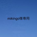 作品mikingo様