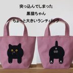 作品一点物【突っ込んでしまった羊毛黒猫ちゃんのちょっと大きいランチバッグ】