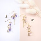 作品花の移り香(桜&菫)　ピアス&イヤリング