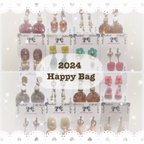 作品♡2024 Happy Bag(福袋)〜イヤリング3点〜♡(選べる2点+シークレット1点)【送料無料】