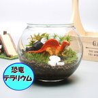 作品恐竜【苔テラリウム・手作りキット一式】金魚鉢