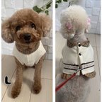 作品海外の制服風　ハーネス　犬服　Ｌサイズ（4号）